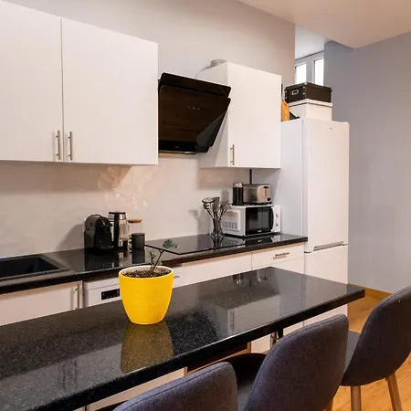 Luxury Flat Champs Elysees 4 Guests