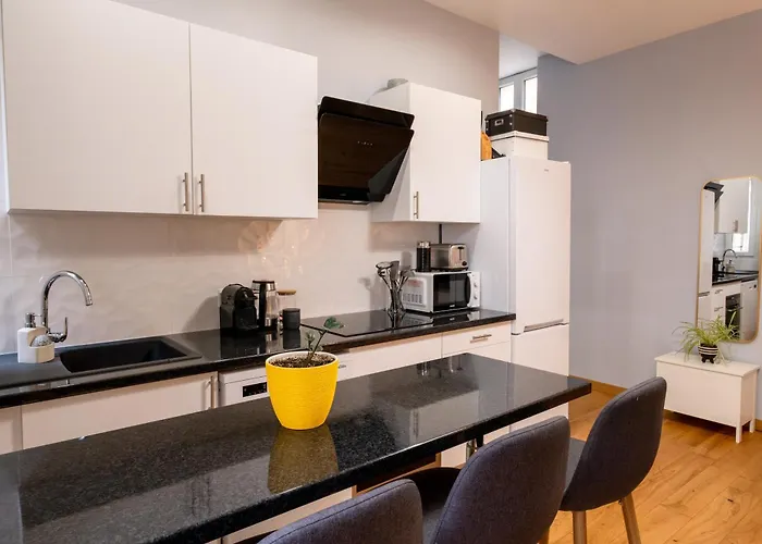 Luxury Flat Champs Elysees 4 Guests